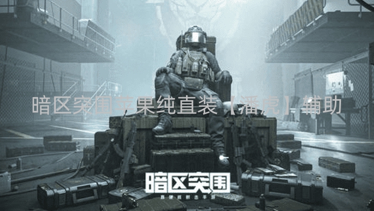 暗区突围苹果纯直装【潘虎】辅助